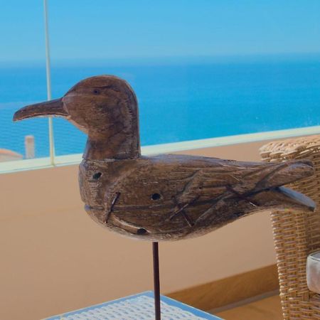 Sunny Day Apartment Calaceite 토록스 외부 사진